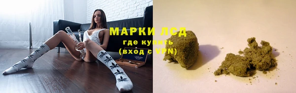 apvp Аркадак
