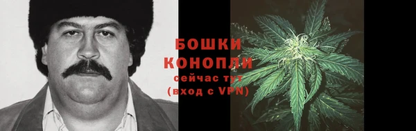 apvp Аркадак
