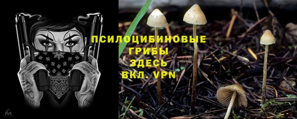 а пвп мука Магас